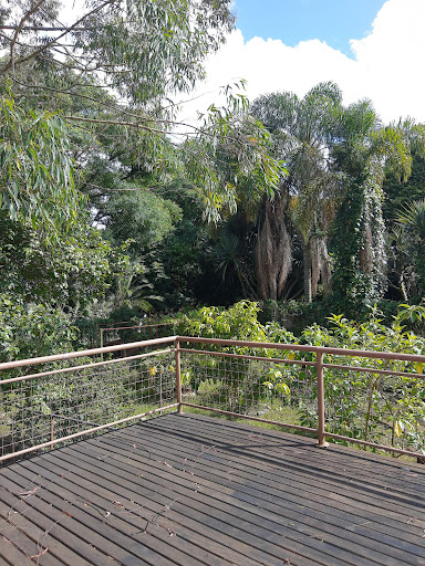 Parque Escola