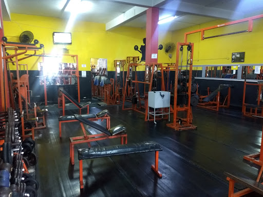 Saúde Vital Academia
