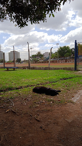 Campo do São Jorge